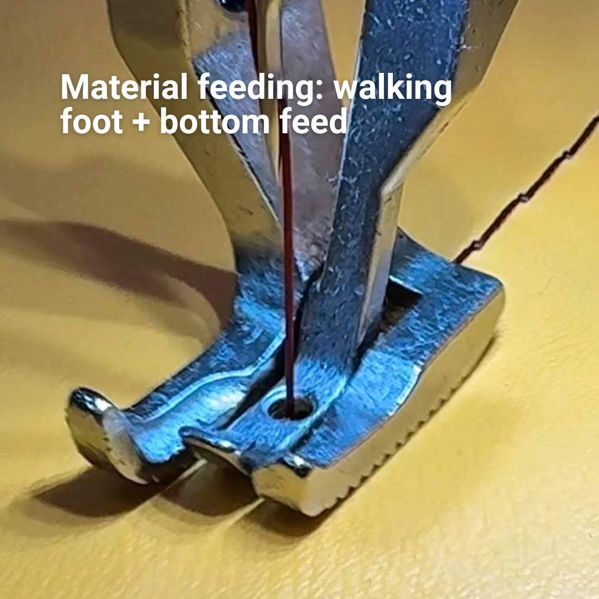 walker